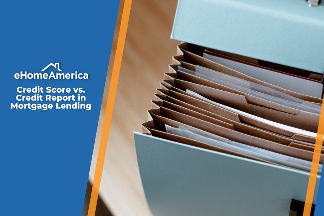 Credit Score vs. Credit Report in Mortgage Lending